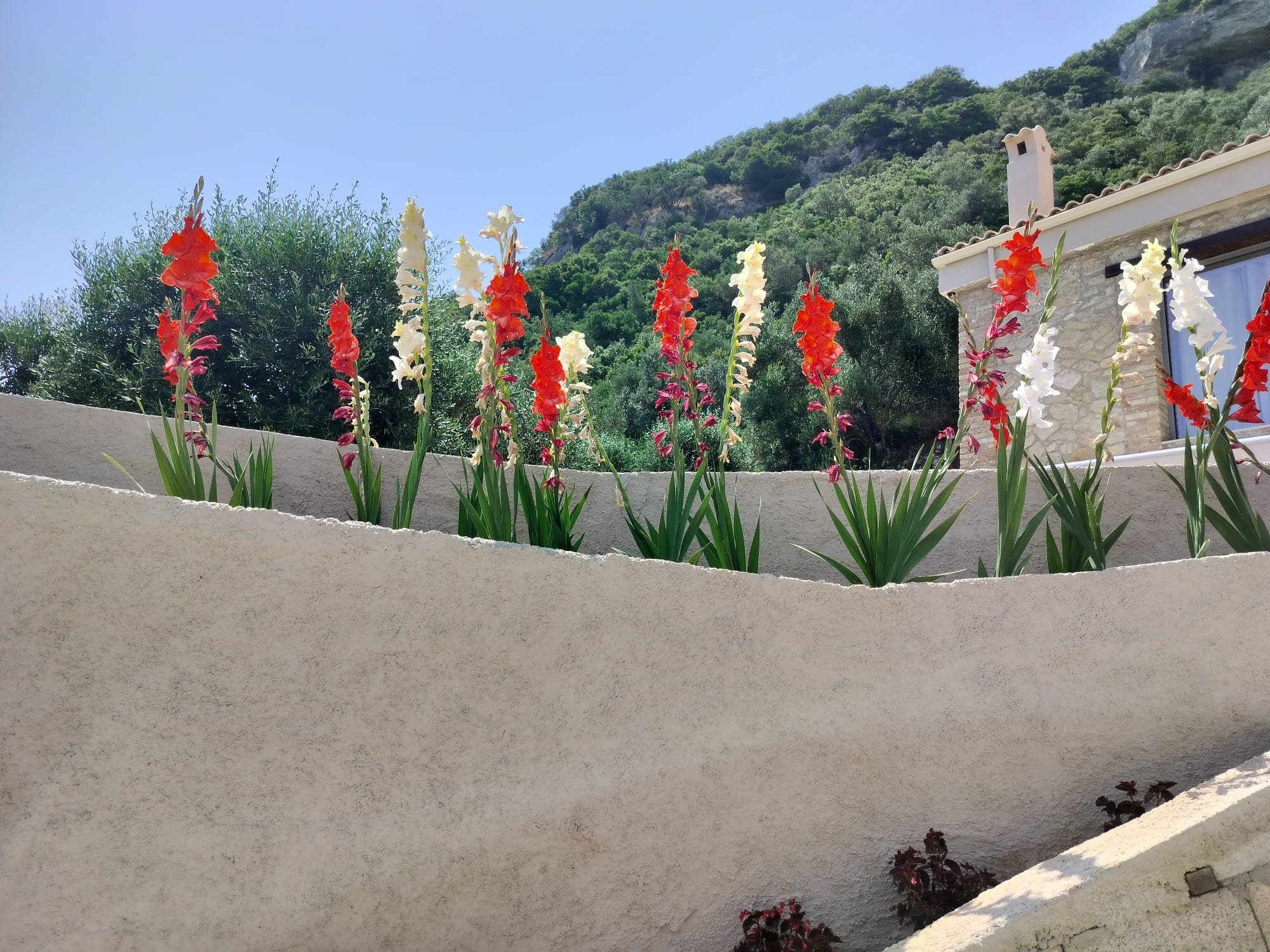 Omgeving van Villa vounó